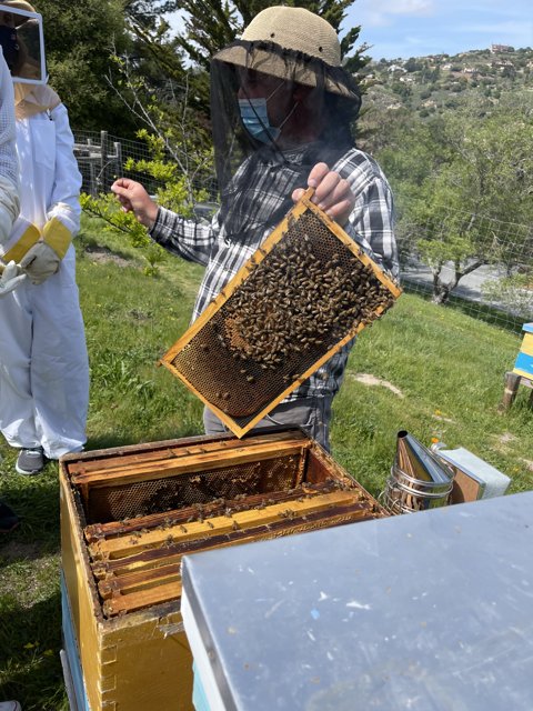 Beekeeper in the Field