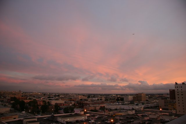 Pink skies over the urban jungle