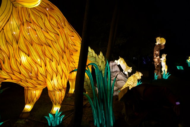 Glowing Beast Under the Night Sky - Oakland Zoo Glowfari 2023