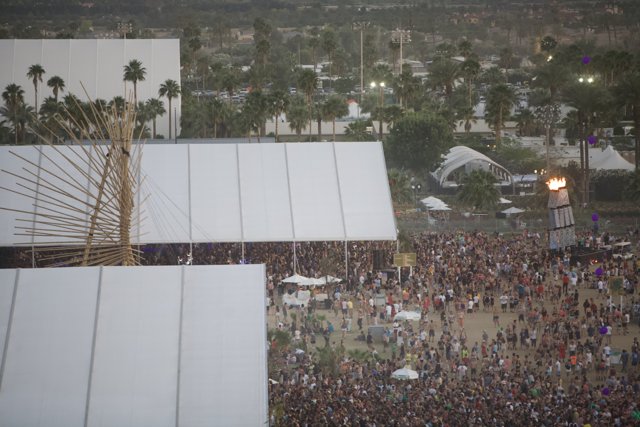 Coachella Festival Crowd