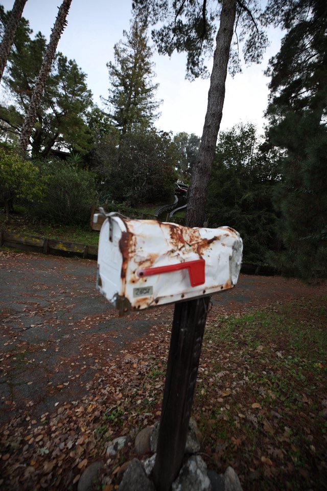 Weathered Rusty Mailbox on Rural Woodland Road