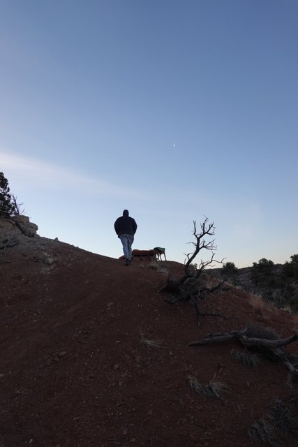 Ascending the Sandia Hike with a Loyal Companion