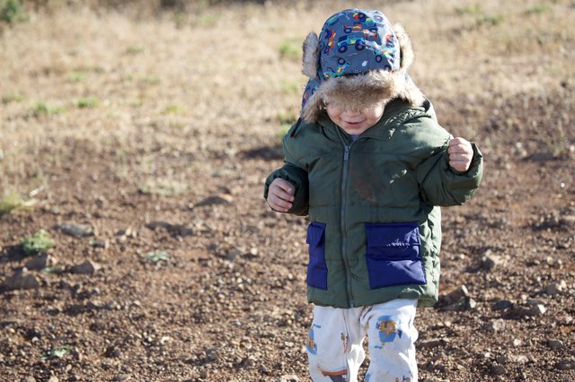 Toddler Explorer Braving the Cold at Mt. Diablo
