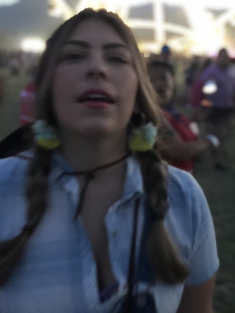 Braided Beauty at the Music Festival