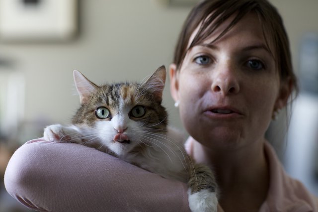 Woman and Curious Tabby Cat Share a Moment