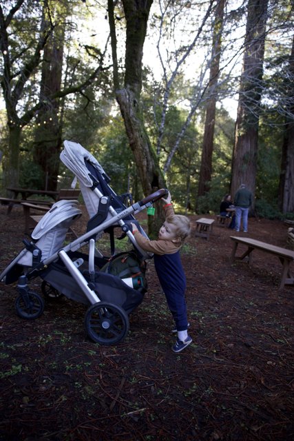 Curious Exploration in the Woodland