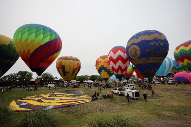 Colorful Hot Air Balloons Launch at Sonoma County Classic