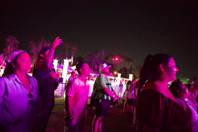 Purple Hues and Festival Views: A Night at Coachella 2024