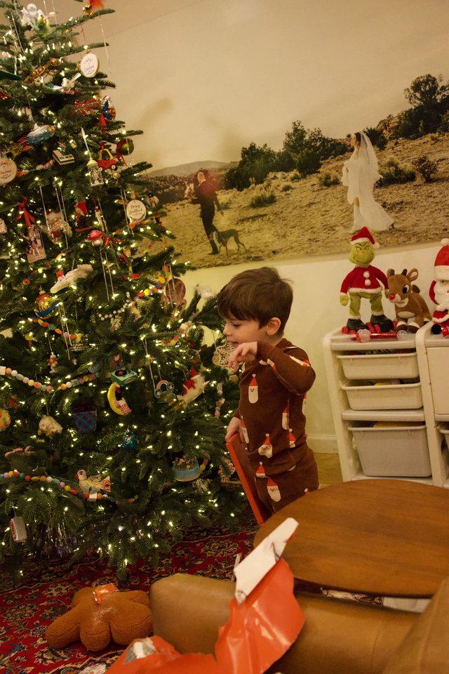 Child Admiring Christmas Tree on Christmas Morning