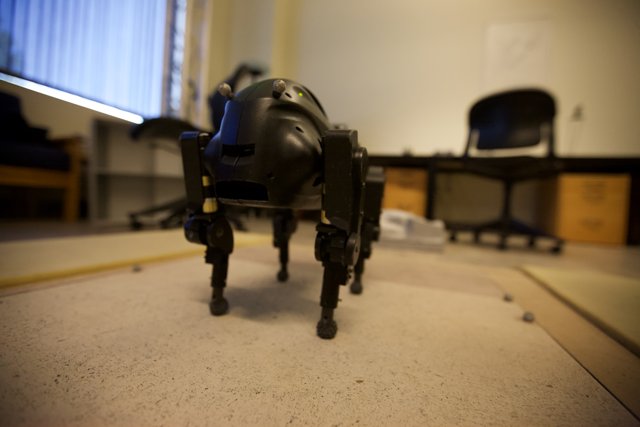 Robotic Toy on Hardwood Table