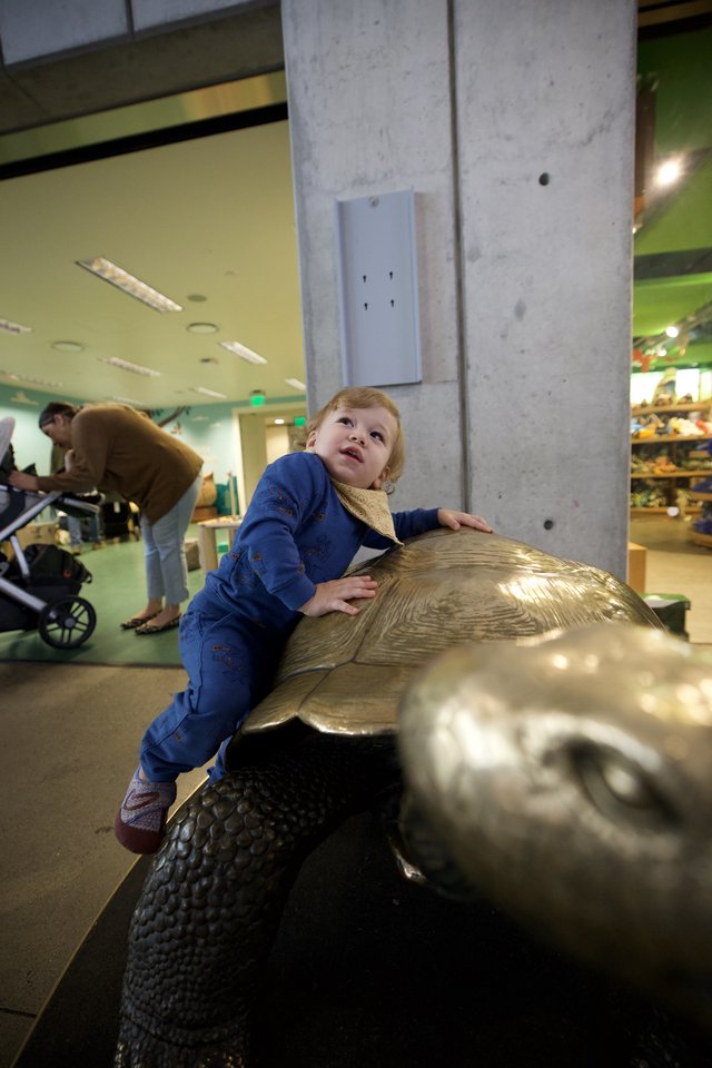 Child Climbing Bronze Turtle Sculpture in Museum