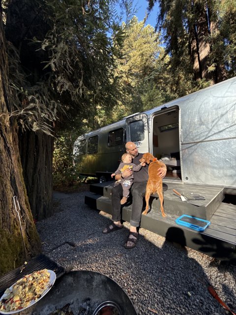 Serene Morning in the Redwoods