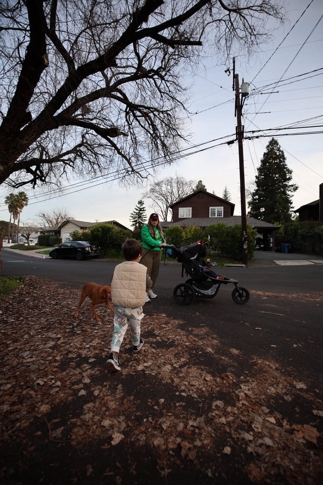 Suburban Evening Walk with Family and Dog