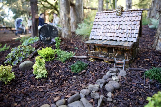 Enchanting Miniature Worlds