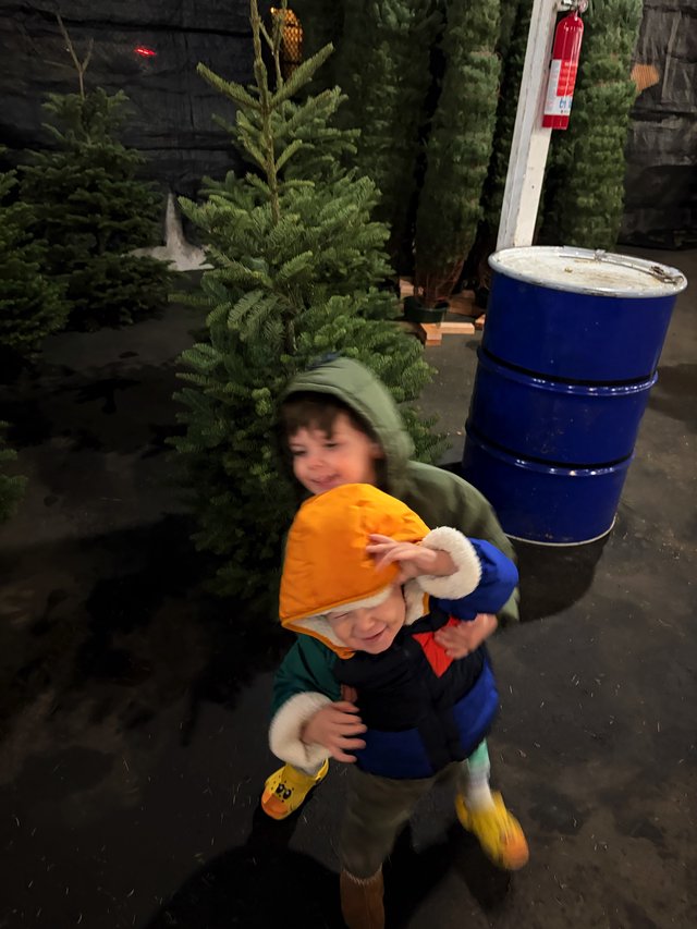 Brothers Picking Out Christmas Tree at Winter Market