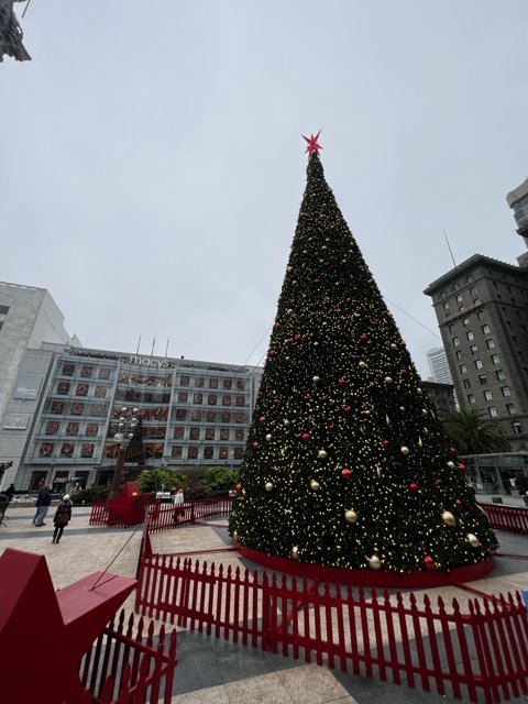 Sparkling Christmas Tree in Union Square