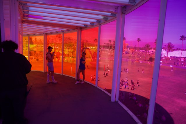 Vibrant Views: A Glimpse from Coachella 2024