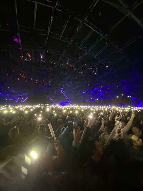 Spotlight on the Crowd