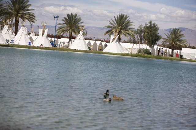 Summer Duck at Coachella