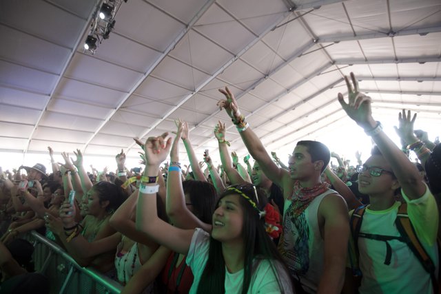 Crowd Celebrating at Coachella Music Festival