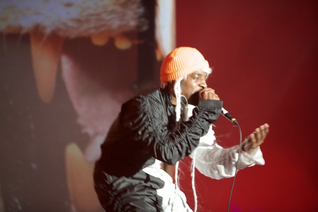André 3000: The Ultimate Performer