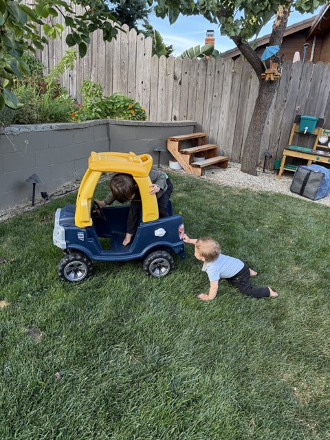 Backyard Adventure