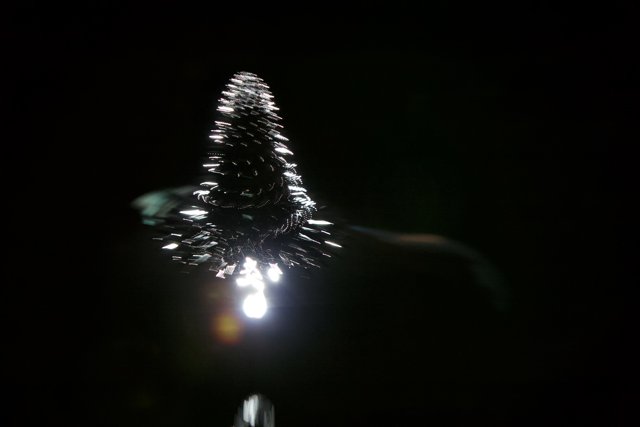 Illuminated Fir Tree