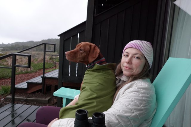 Woman and Dog Relaxing on Modern Deck