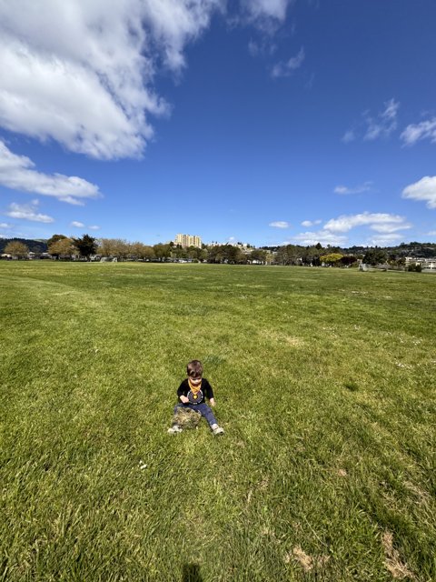 Playful Moments in the Park