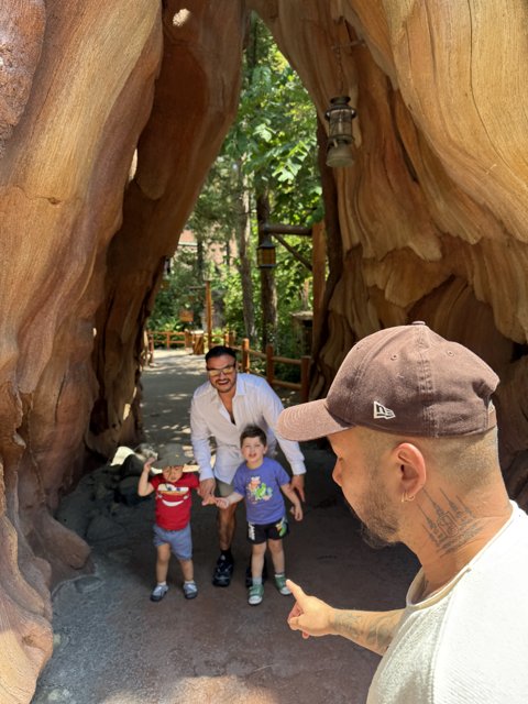 Adventure Under the Sequoias