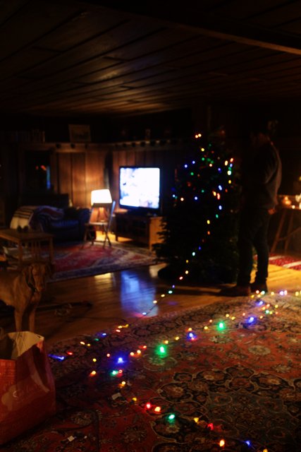 Festive Living Room