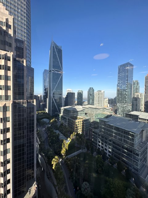 Metropolitan Magic: San Francisco's Skyline