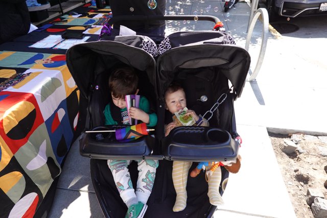 Stroller Adventures