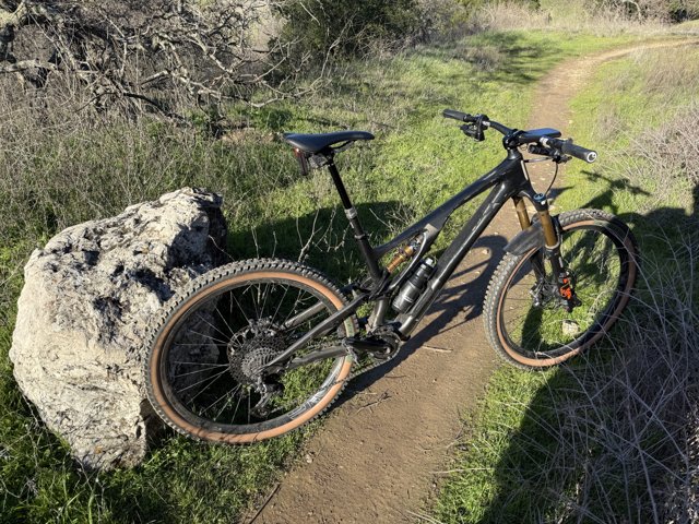 Trail Companion at Lime Ridge