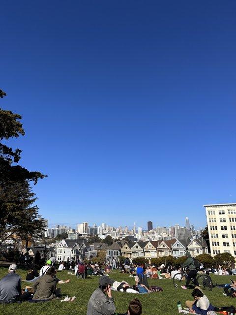 A Sunny Afternoon Gathering in Alamo Square