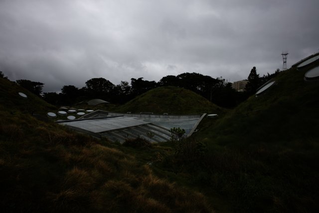 The Lush Green Roof of New Zealand National Museum