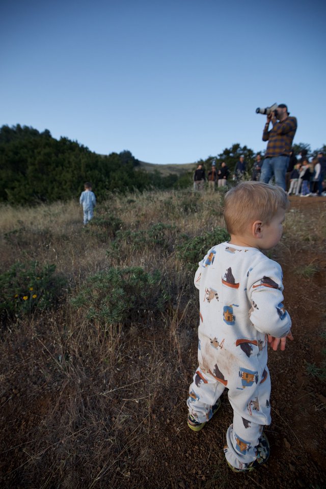 Tiny Explorers at Golden Hour on Mount Diablo