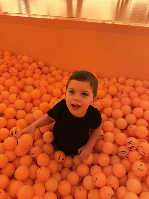 Joyful Exploration in a Sea of Orange