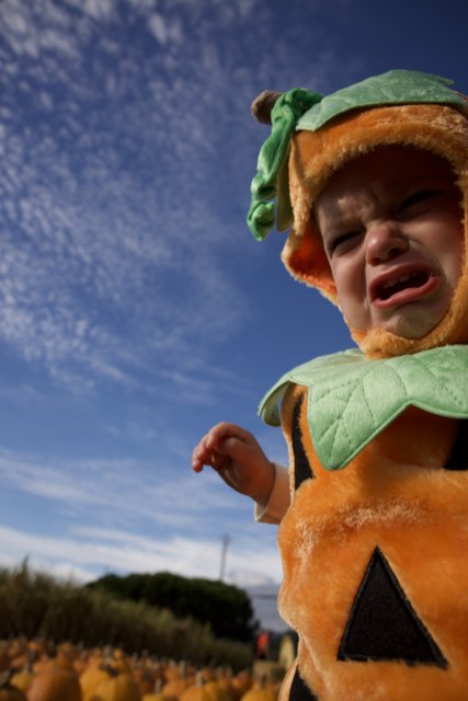 Pumpkin-Head Baby Charms at Halfmoon Bay