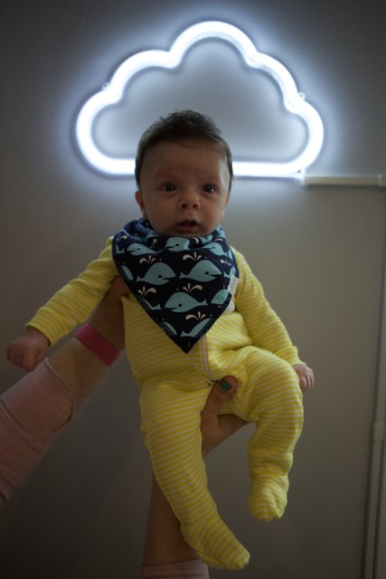 Baby Wesley: A Beacon in the Neon Clouds