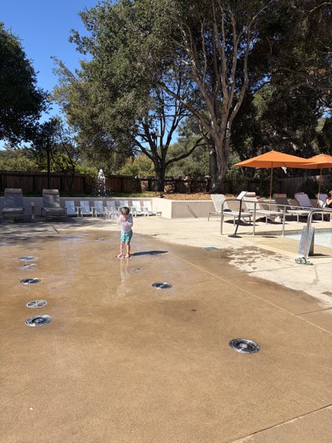 Splash of Joy in the Sun