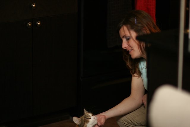 Woman Gently Playing With a Tiny Kitten Indoors
