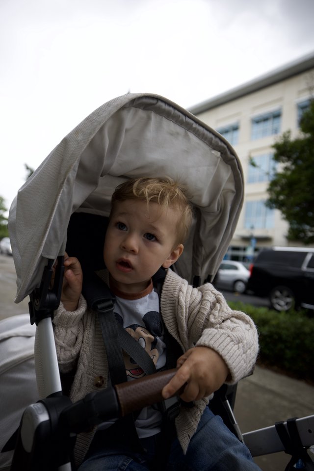 Curious Toddler in Stroller on Overcast Day