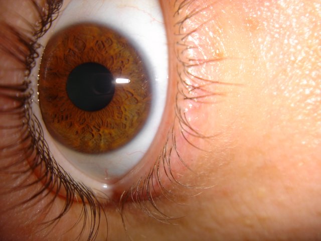 Intense Brown Eye