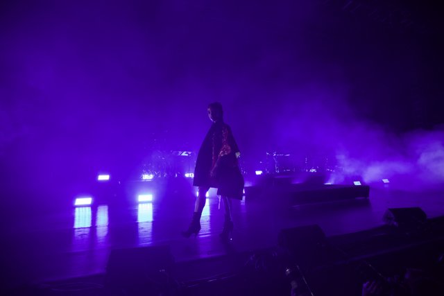 FKA Twigs Takes the Stage in a Purple Haze