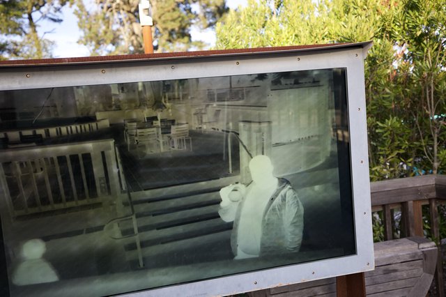 Reflected Visitor in Museum Display Glass