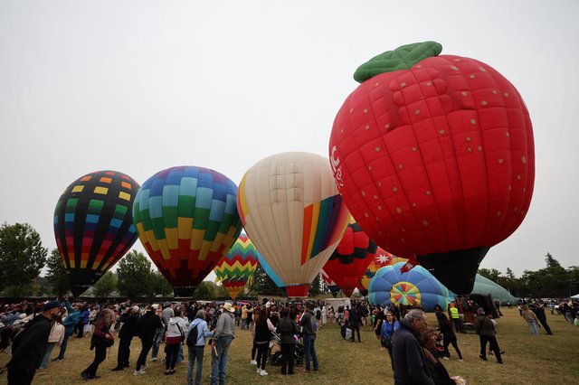 Giant Strawberry Balloon Dominates Sonoma County Sky