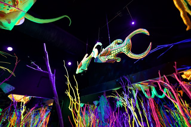 Illuminated Sea Creature at Meow Wolf Installation