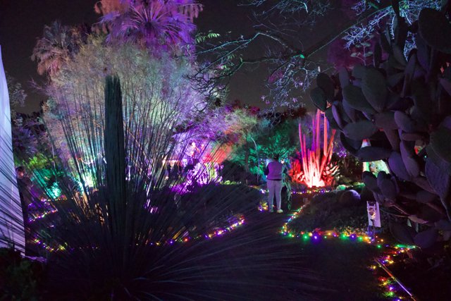Enchanted Evening at Ruth Bancroft Garden