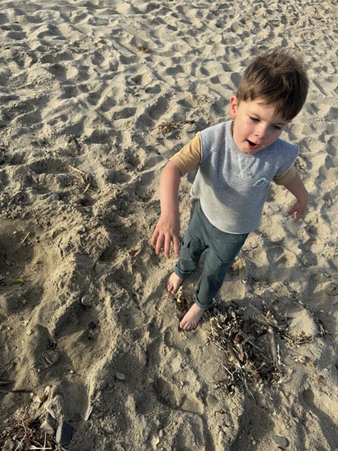 Sandy Adventures